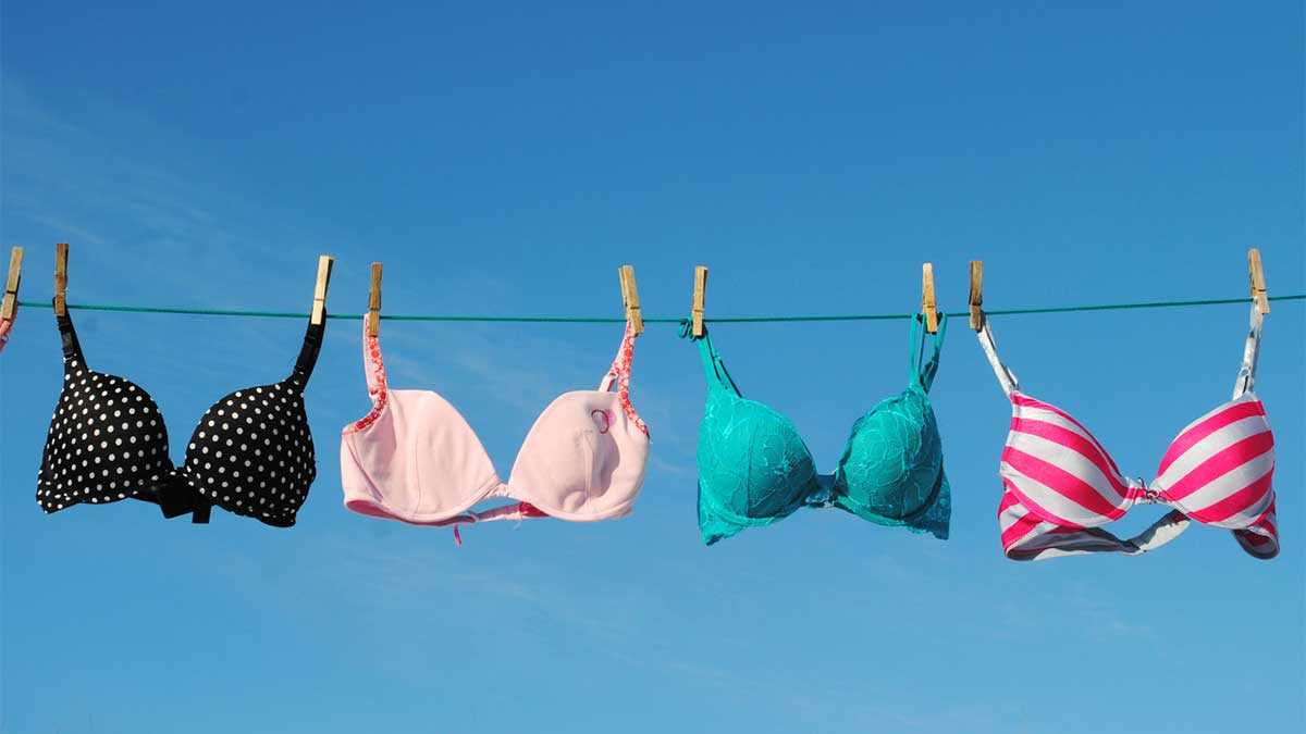 Wacoal Lets Customers Trade In Old Bras For Renewable Energy