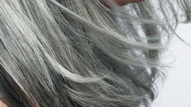 Wtf Makes Your Hair Turn Gray Apart From The Obvious