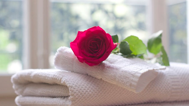 There Are Spa Services For Your Vagina Fyi