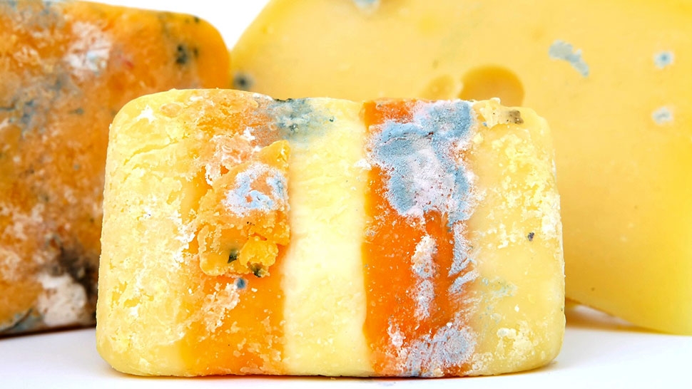 Can You Eat Moldy Cheese?
