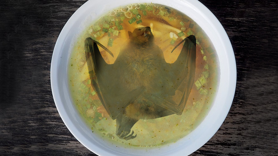 Bat-Eating in the Philippines