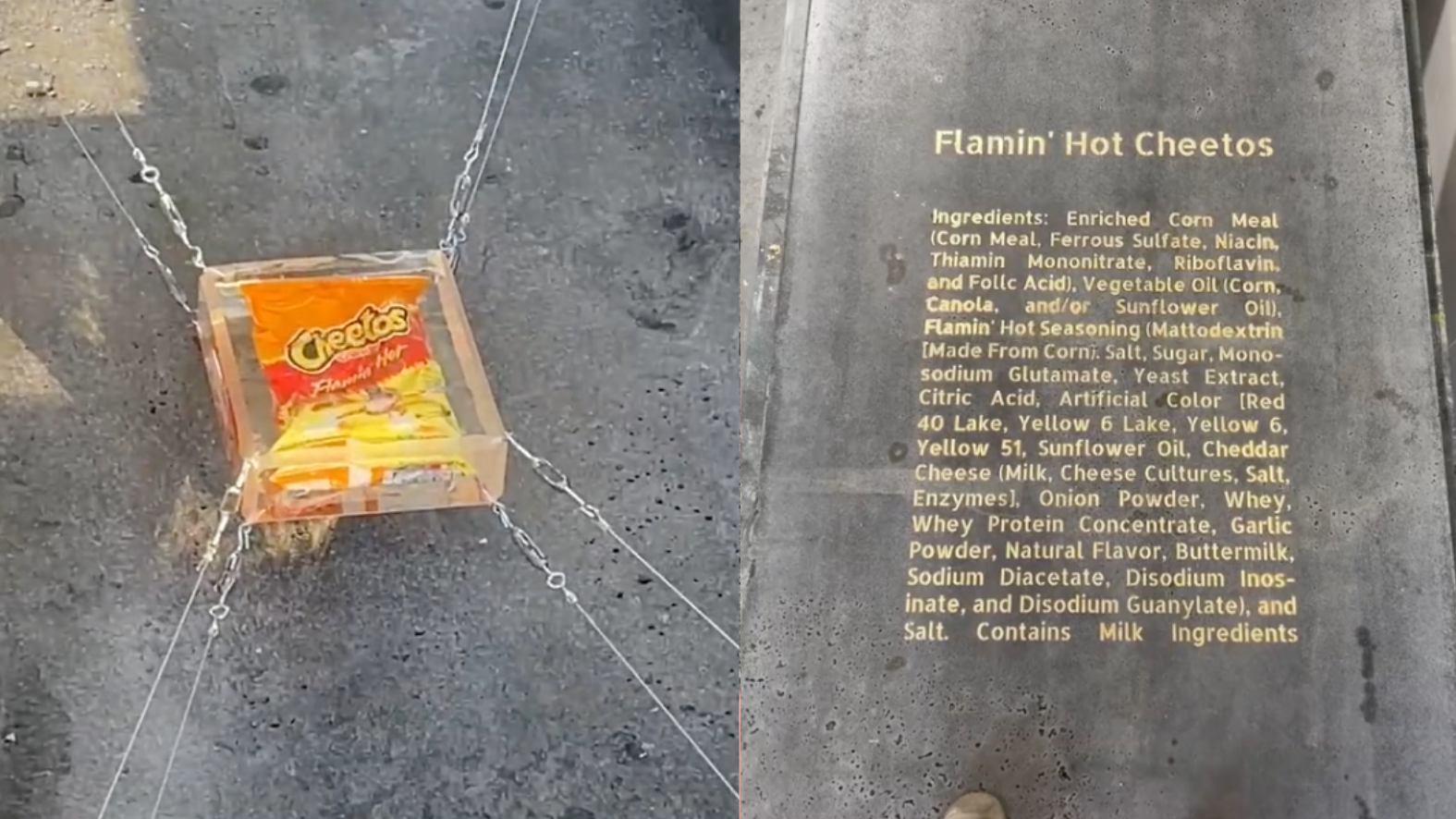 Alien shopping-bag ocean weirdo has glowing Cheetos for guts