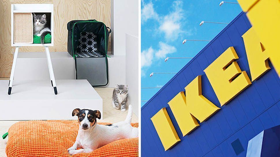 http://images.summitmedia-digital.com/realliving/resize/images/2017/10/11/IKEA-PETS-WIDE.webp