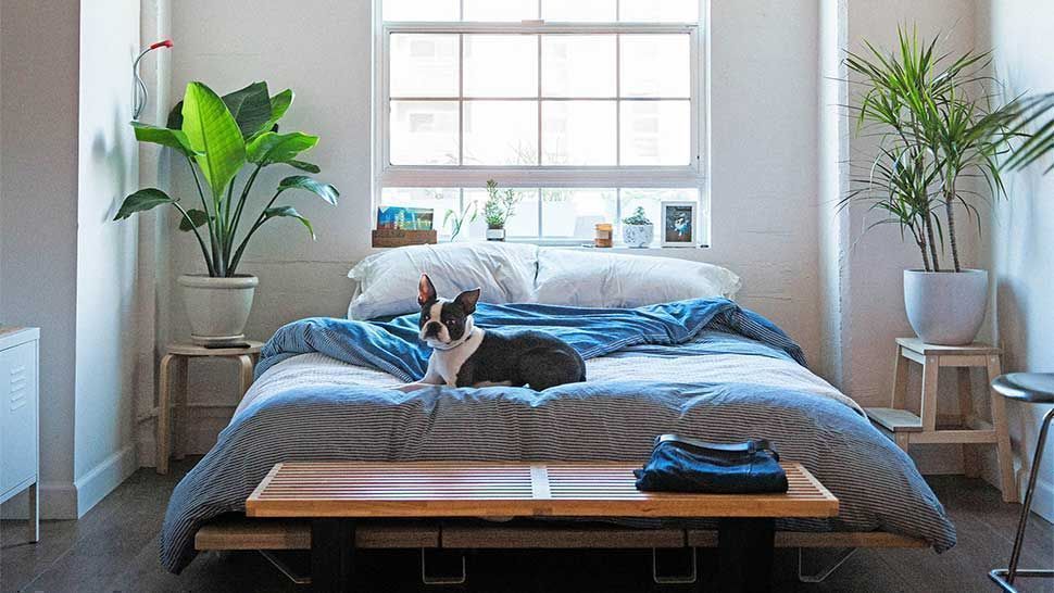 Make Your Bed In 60 Seconds Or Less