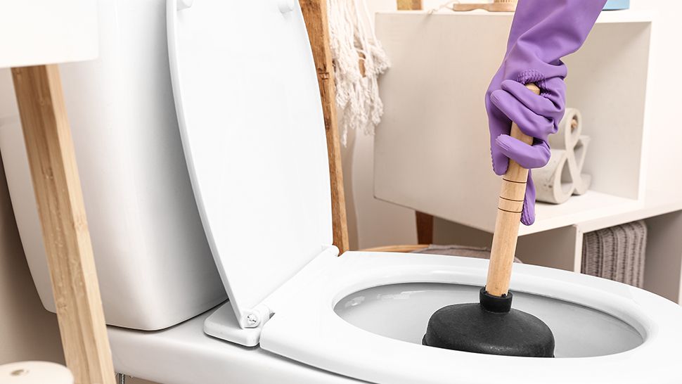6 Ways to Unclog a Toilet