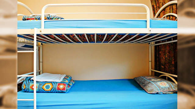 Head Injury After Fall Bunk Bed, How Often Do Bunk Beds Collapse