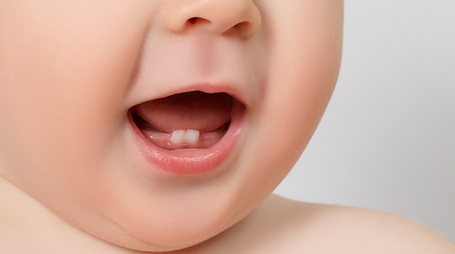 development of a baby's teeth