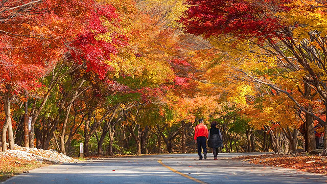 Colorful Places To Visit in South Korea This Autumn