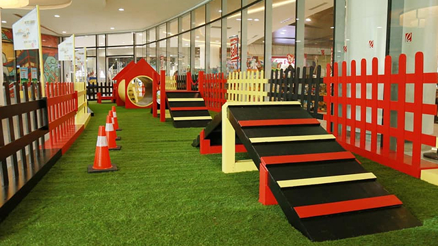 Dog indoor park near clearance me