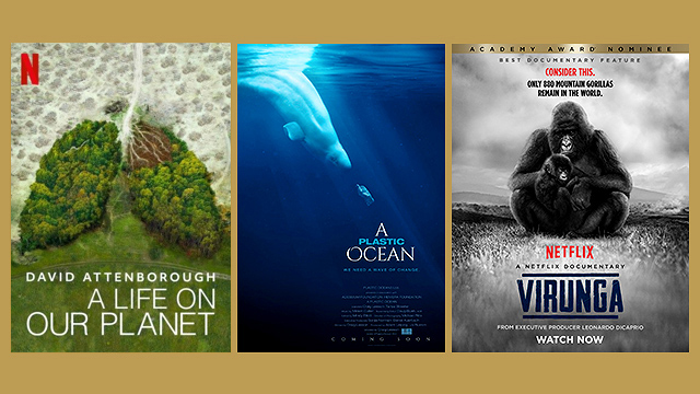 Best Environmental Shows on Netflix You Can Watch; Ranked