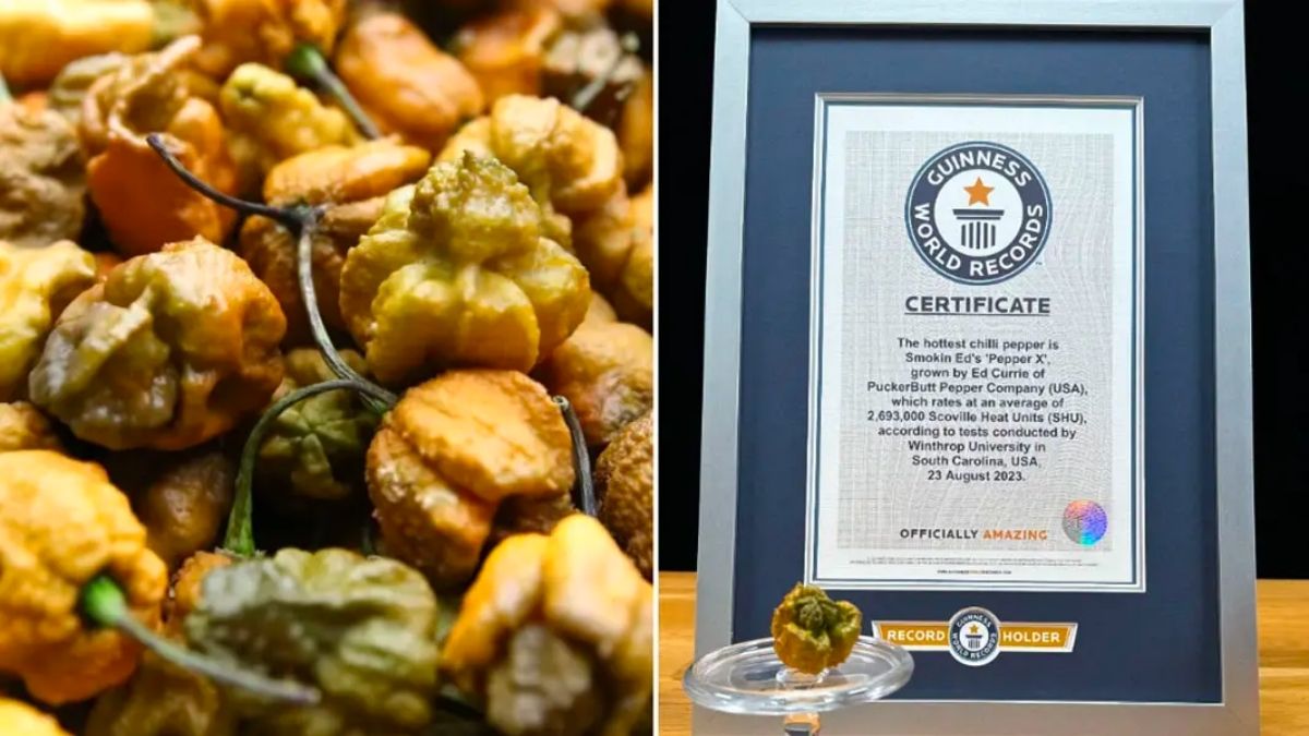 Pepper X Guinness World Record New Hottest Pepper in the World