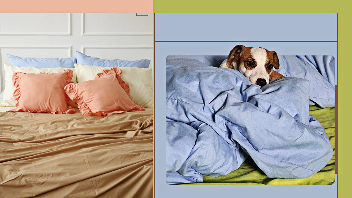 Where to Buy Pet Hair Resistant Bed Linens: Slow Days