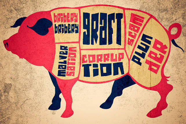 pork barrel politics examples