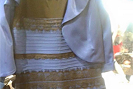 white gold dress illusion
