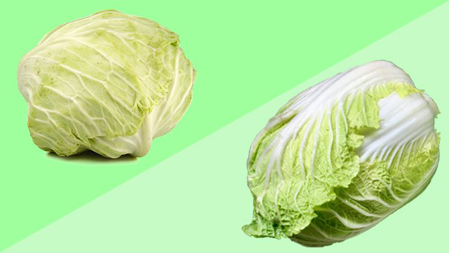 Cabbage chinese What Is