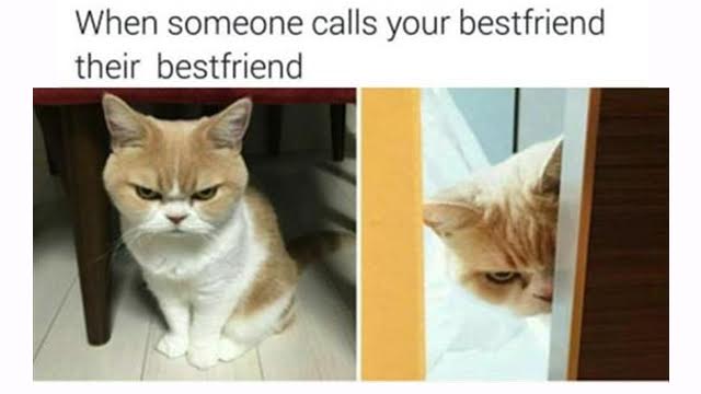 15 Pictures People with BFFs Can Relate To