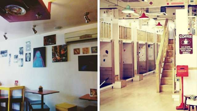 5 Places to Chill Inside and Outside DLSU