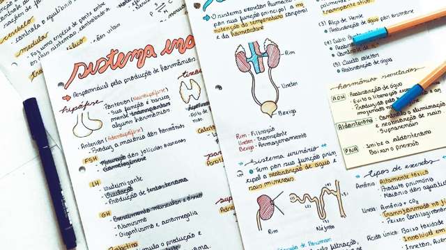 5 Things Pre-Med Students Need to Hear