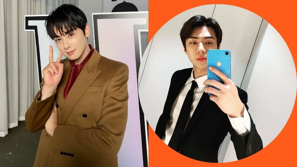 7 Most Handsome Korean Stars with the Best Faces, According to Plastic Surgeons