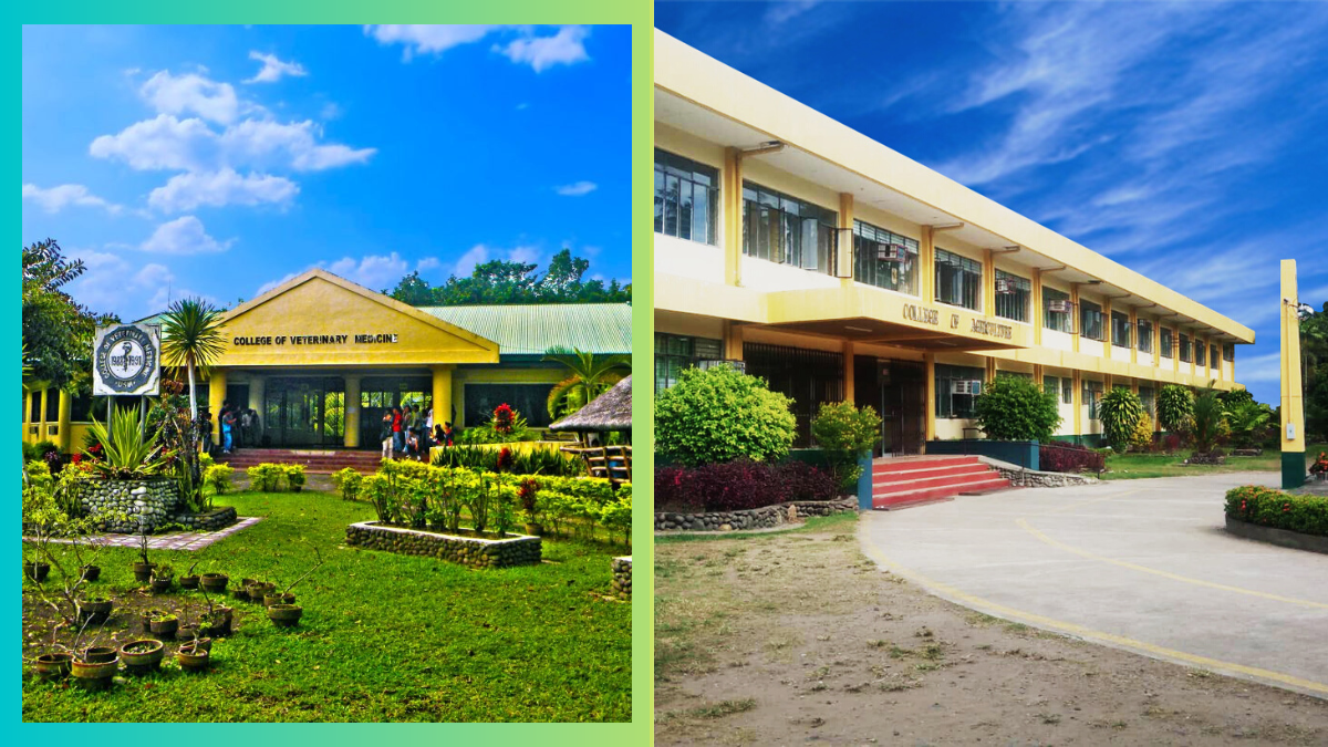 Everything You Need to Know Before Applying to University of Southern Mindanao