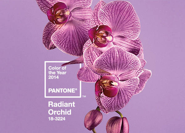 PANTONE Color of the Year