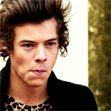20 reasons why we love harry styles