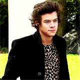 20 reasons why we love harry styles