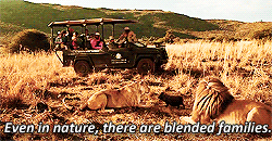 Blended