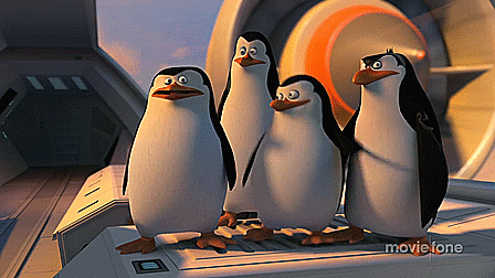 5 Things You Can Learn from the Penguins of Madagascar