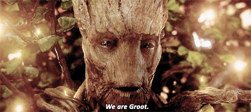 10 Groot GIFs to Describe the Holiday Season 