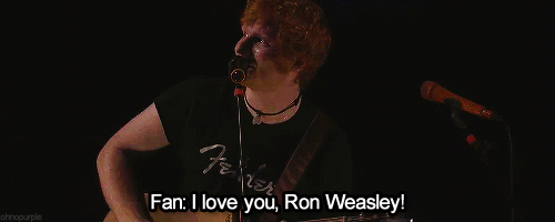 Ed Sheeran Concert GIFs