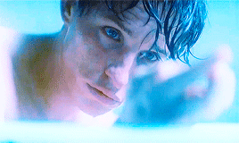 The Theory of Everything GIF