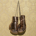 Boxing gloves