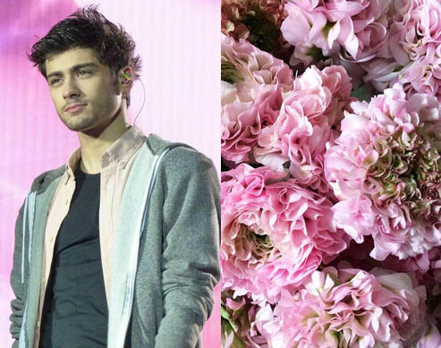 intermission flower zayn rap genius