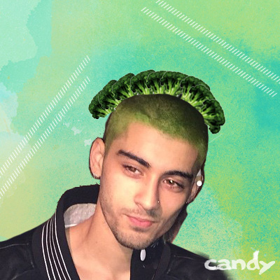 5 Things We Can Do on Zayn Malik's New Green Hair