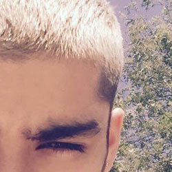 Zayn Malik