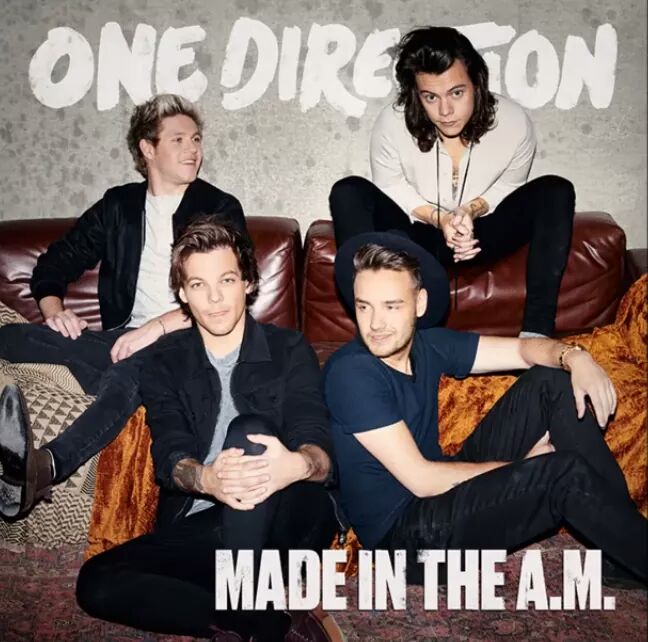 One direction made in the am