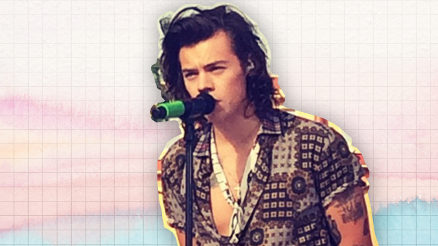 10 Things We Want To Ask Harry Styles If We Got To Sit Next To Him On a Plane