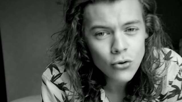 Harry Styles Splits With Modest Management