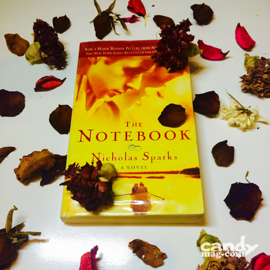 the notebook by nicholas sparks characters