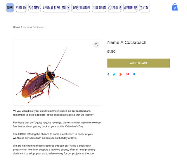 Name A Cockroach After Your Ex