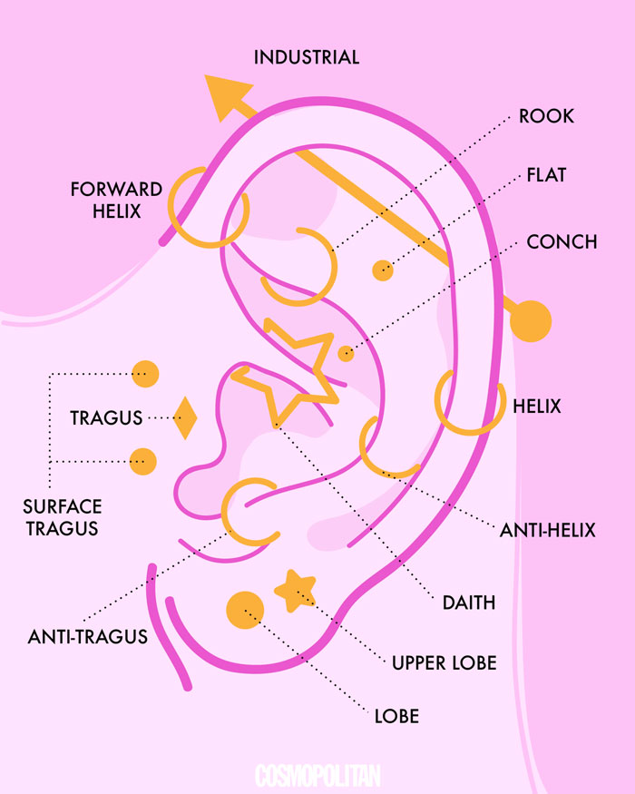 Infographic Guide to Ear Piercing Locations and Terminology