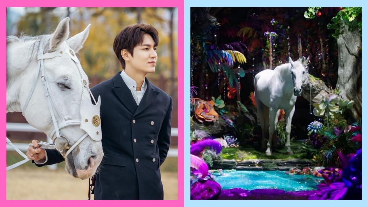 Side-by-side pictures of Lee Min Ho standing beside a white horse and the white horse in a dream-like set.