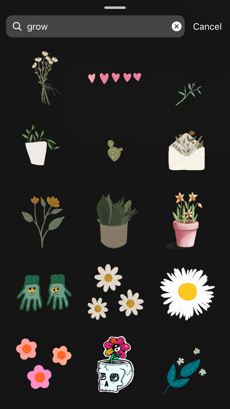 LOOK: Super Cute Plant GIFs On Instagram