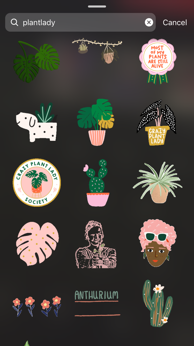 LOOK: Super Cute Plant GIFs On Instagram