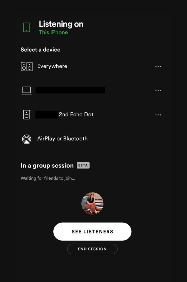Spotify group session