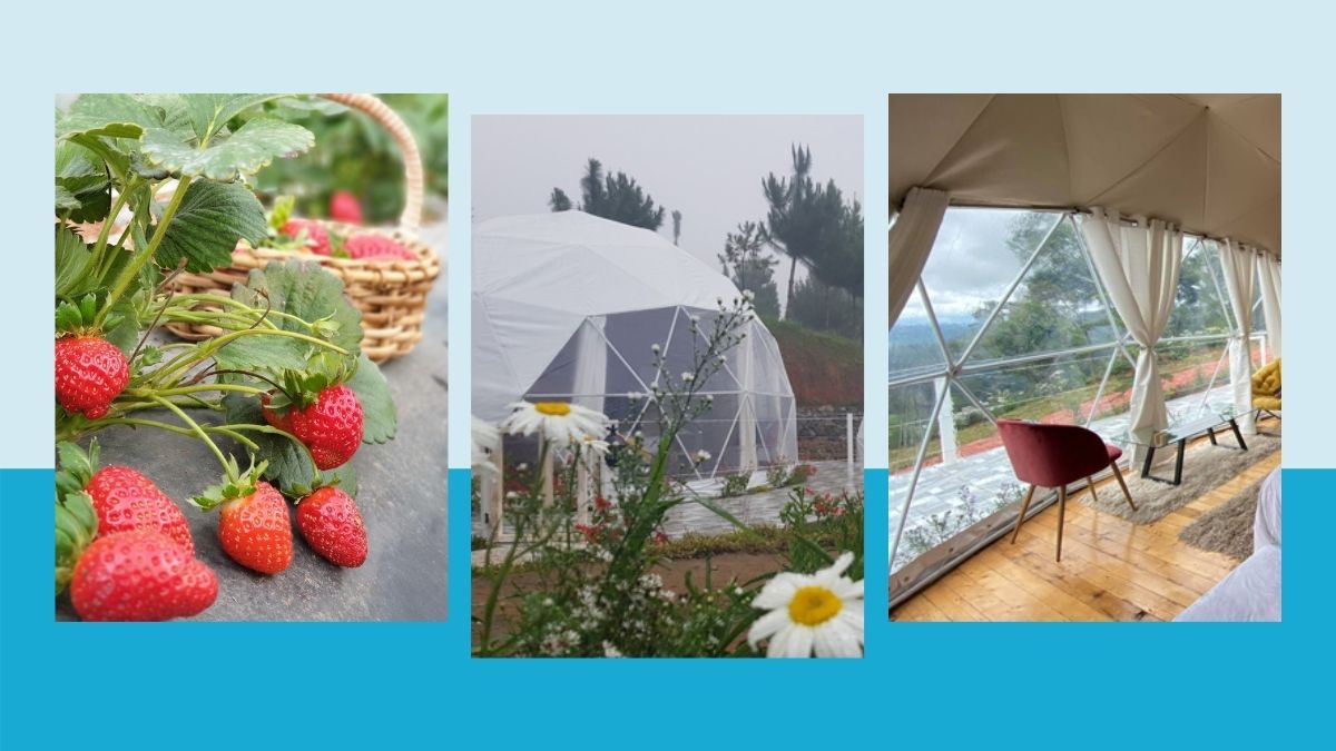 Glamping at Taglucop Strawberry Hills