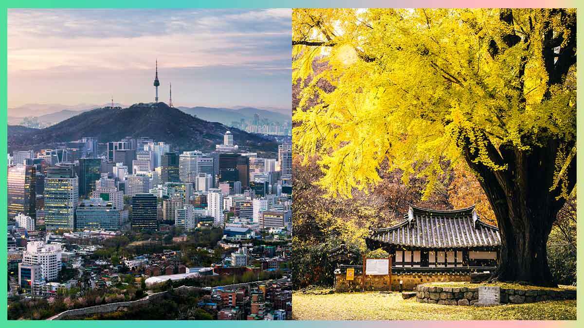 Which popular destination in South Korea should you visit according to your personality?