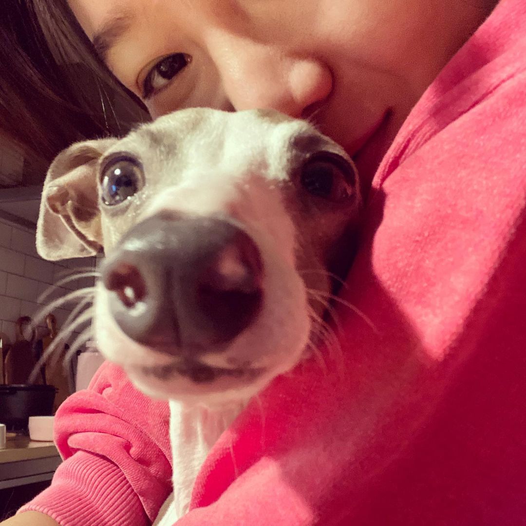 6 Korean celebrities who adopted abandoned dogs, from Blackpink's Rosé and  Netflix's Sweet Home star Lee Do-hyun, to former Wanna One member Yoon  Ji-sung