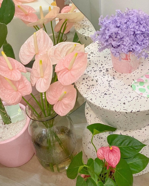 Instagram aesthetic of pretty spaces featuring Elisse Joson's flower decor